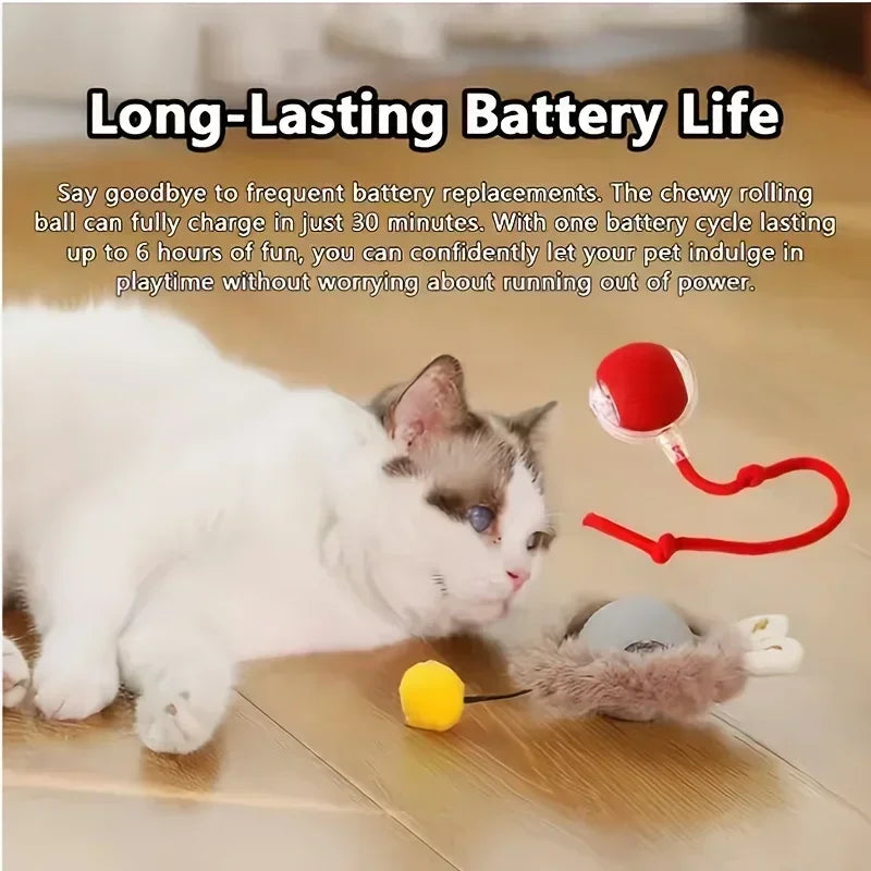 🐾 Smart Interactive Toy Ball for Cats & Dogs
